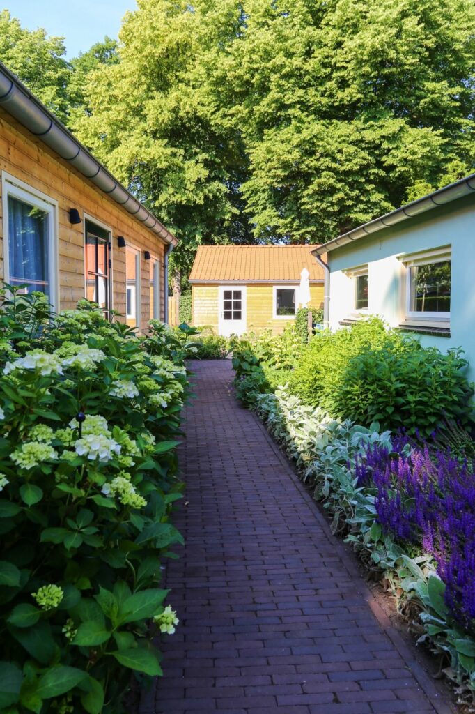 Klinkerpad tussen witte hortensia's en salie