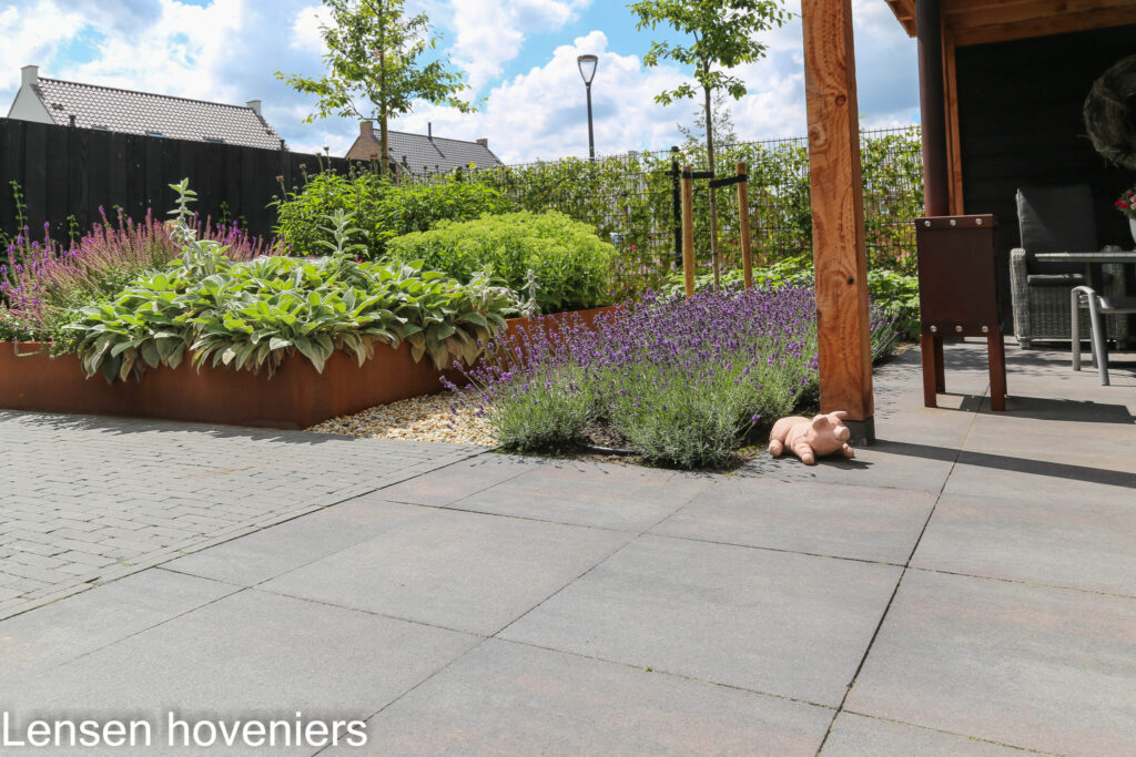 Cortenstalen plantenbakken met lavendel naast het terras