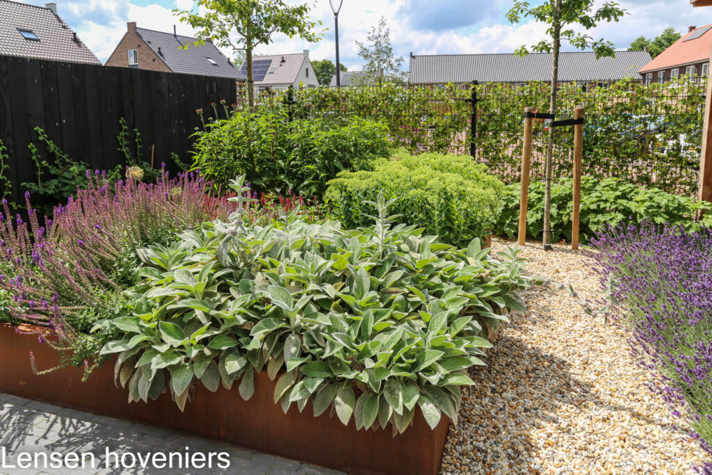 Cortenstalen bak met hosta's en grind langs de schutting