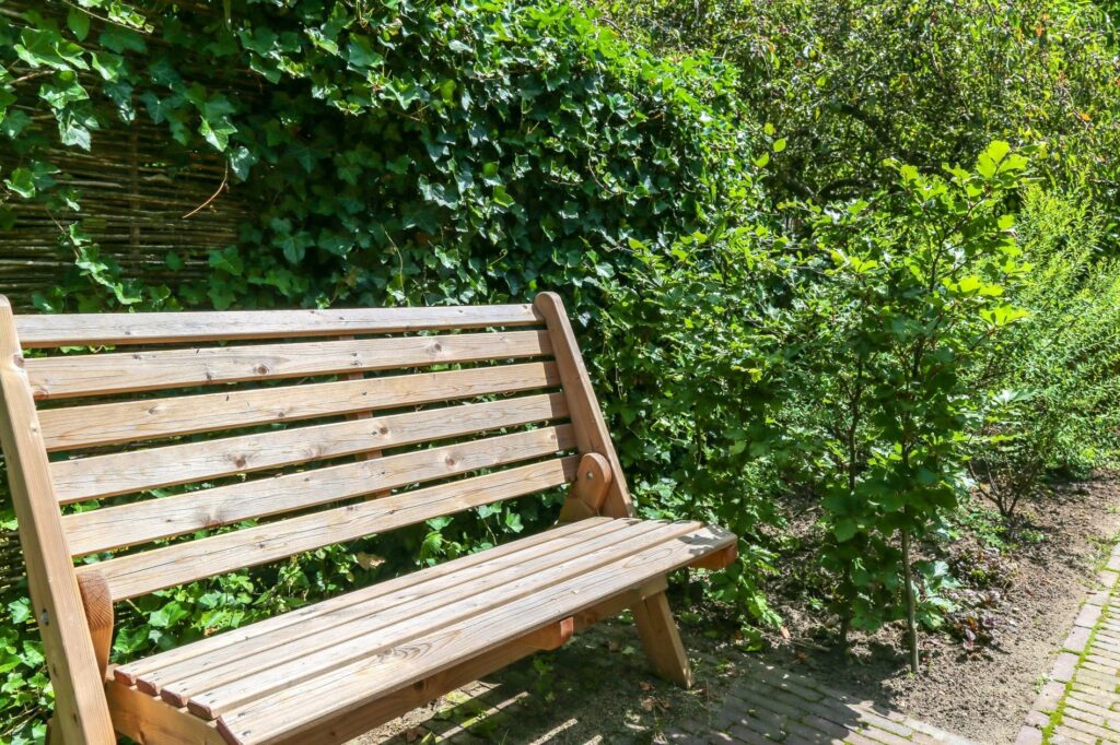Houten bank tegen een klimophaag