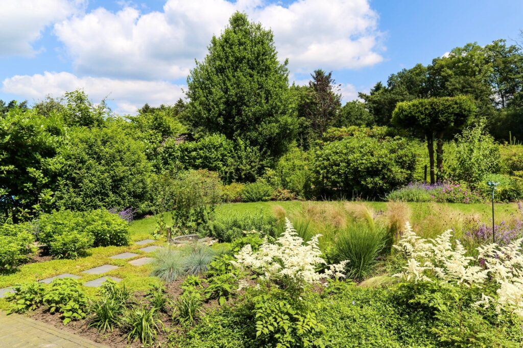 Border met witte pluimspirea en stapstenen in een natuurlijke tuin in Oosterbeek