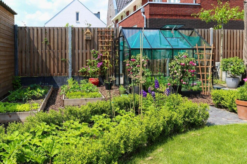 Moestuin met lage hagen en een kas langs de schutting