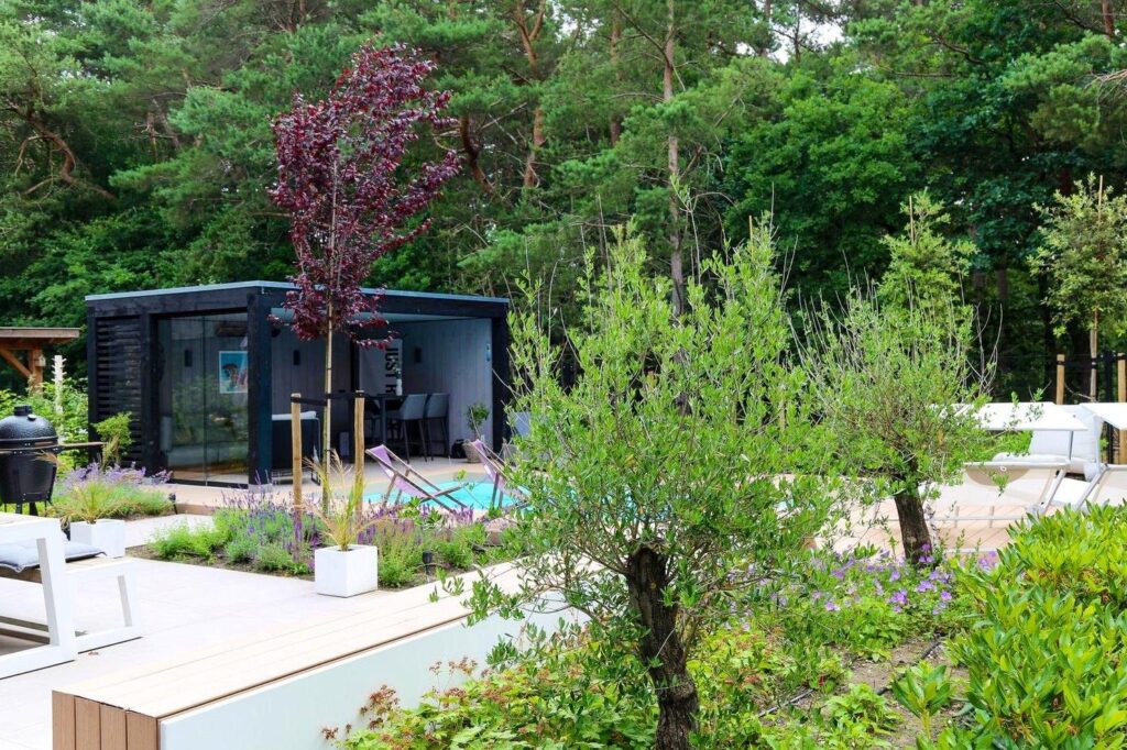 Olijfboom en vaste planten bij een tuinhuis in Ede