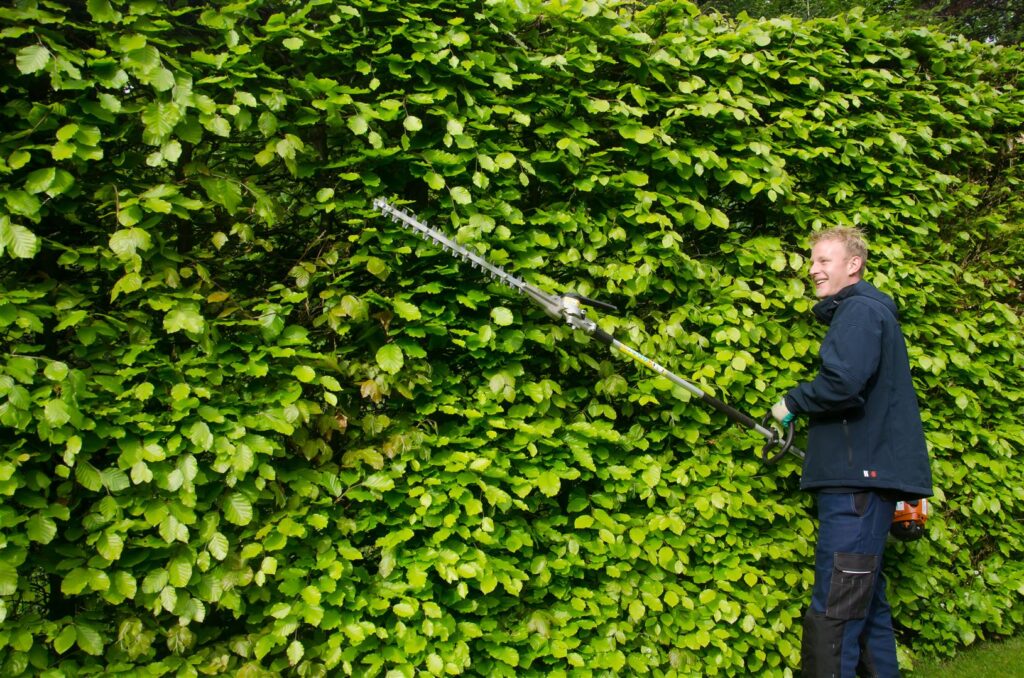 tuinonderhoud