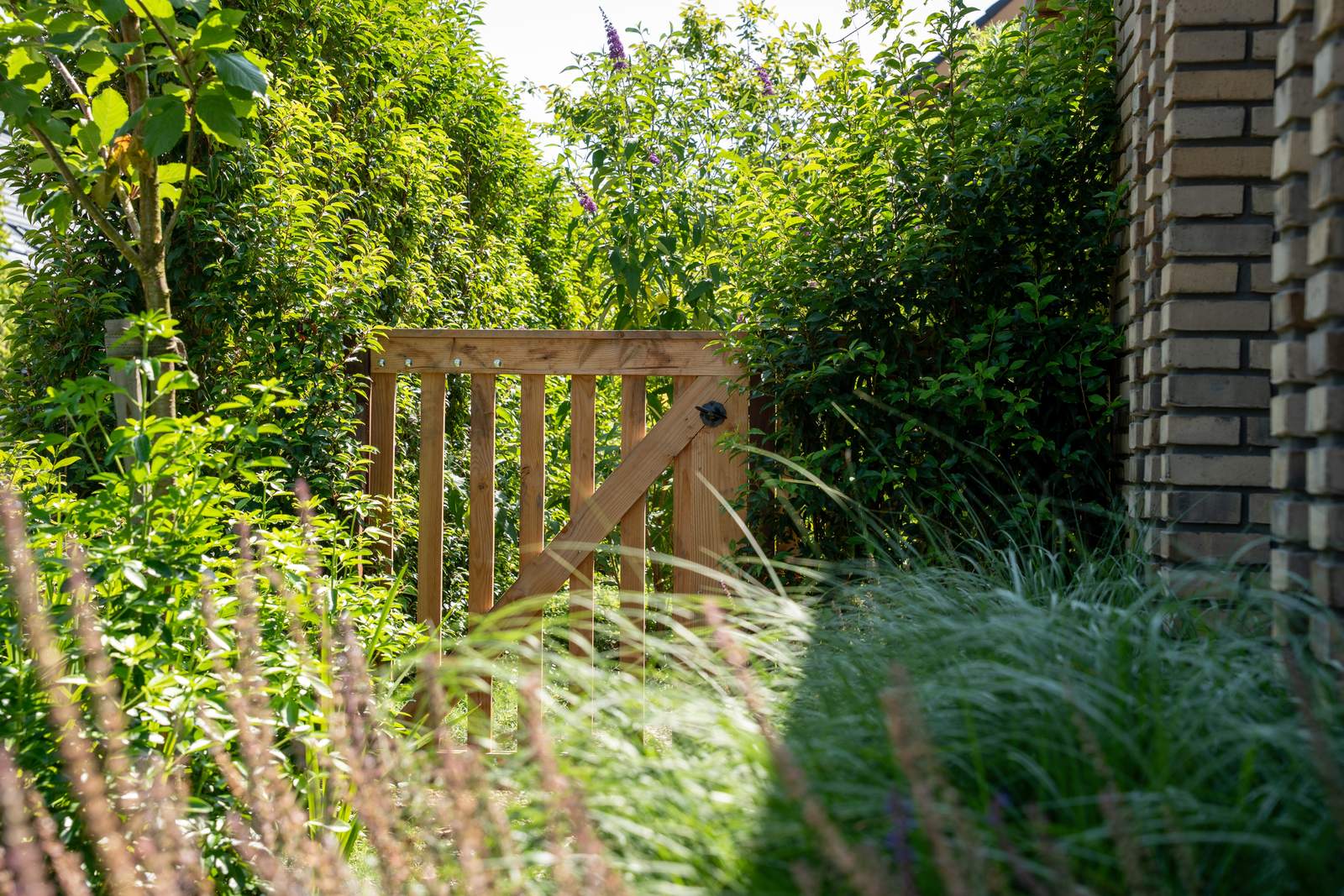 Houten tuinpoort tussen beplanting en siergrassen