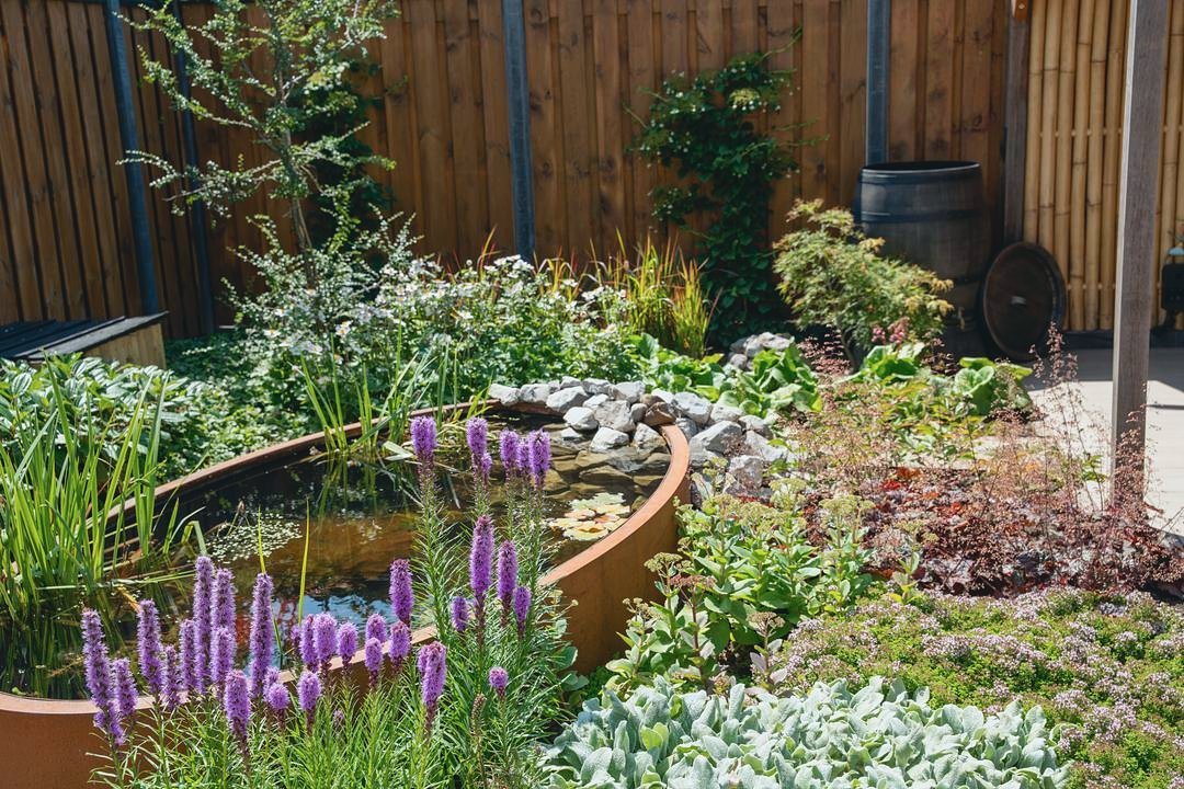 Verhoogde cortenstalen vijver met keien tussen bloeiende vaste planten in Arnhem